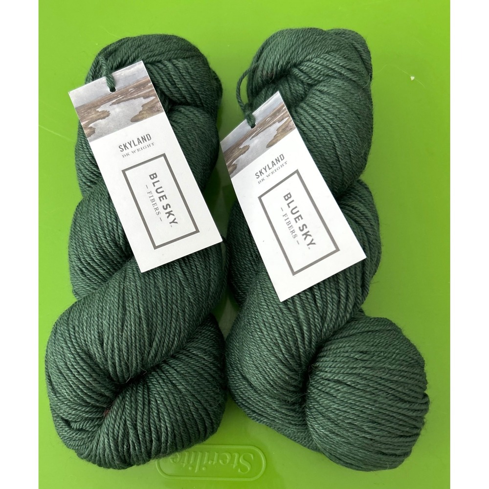 Blue Sky Fibers Skyland DK Yarn 2 Skeins Comet 2406 Green Wool Alpaca Silk 420yd